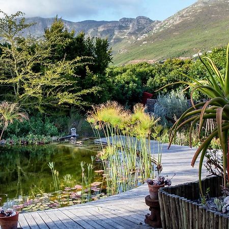 Leopardstone Hill Villa Noordhoek Exterior photo