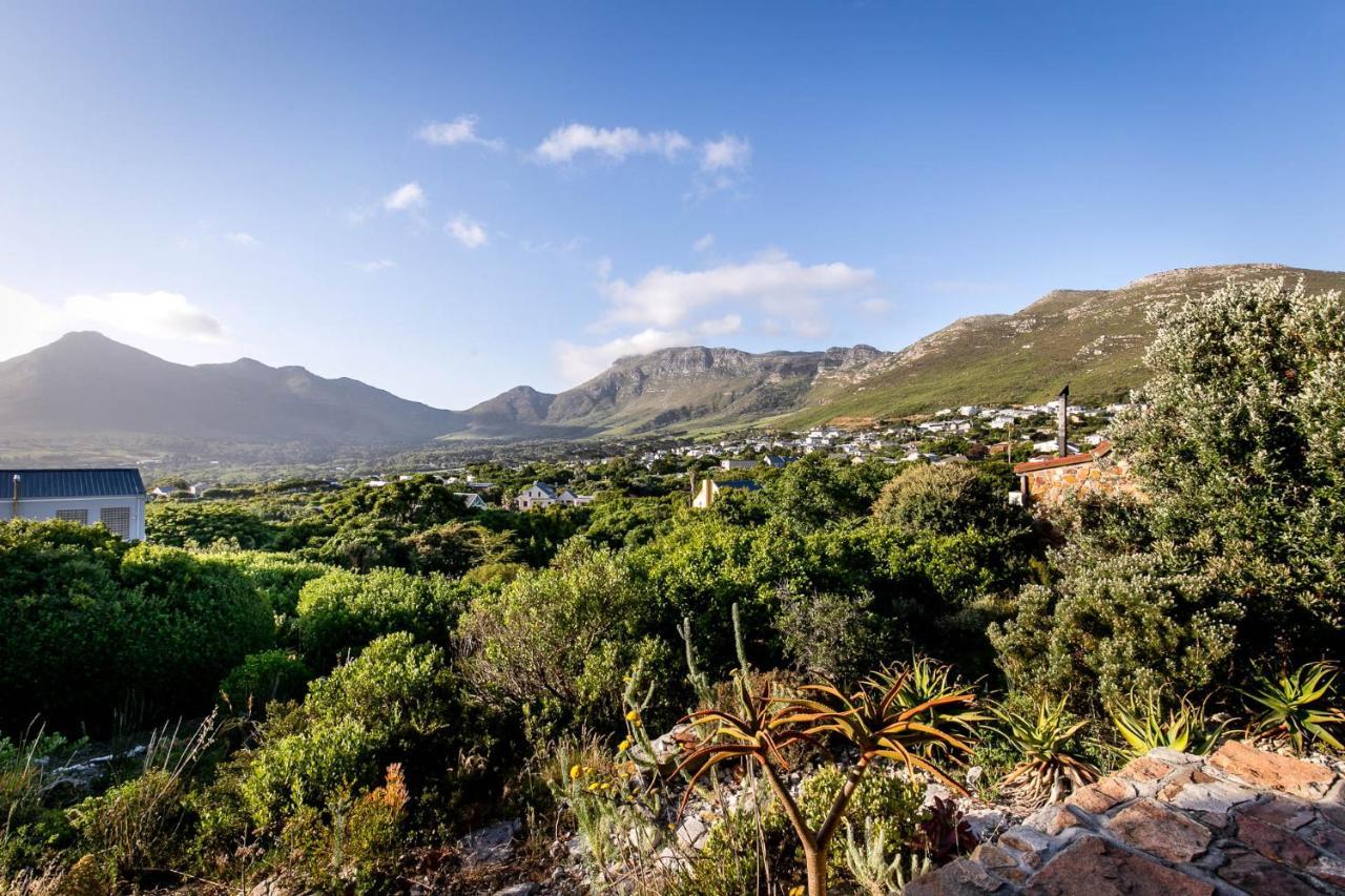 Leopardstone Hill Villa Noordhoek Exterior photo